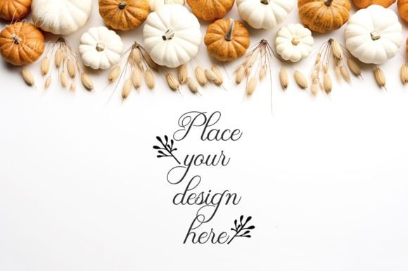 Download Pumpkin Background Stock Photo Flat Lay - Pumpkin Collection
